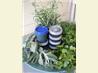 Herbes de Provence