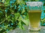 Mint Julep