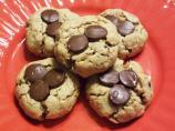 Double Chocolate Peanut Butter Cookies