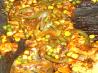 Spicy Stir Fried Chicken in Hoisin Sauce