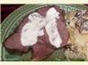 Crock Pot Roast Beef and Horseradish Sauce