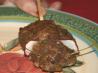 Halloween Rats Baked in Blood