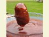 Uncle Tom's Appetizer Meatball Sauce
