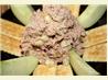 Tasty Tuna Salad
