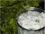 Coriander/Cilantro Yoghurt (Very Easy Side Dish)