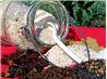 Smokey Seasoned Salt. Recipe by Rita~