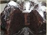 Midnight Chocolate Cake. Recipe by Juenessa