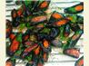 Ww Roasted Carrots