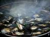 Mussels With Chorizo , Tomato and Wine