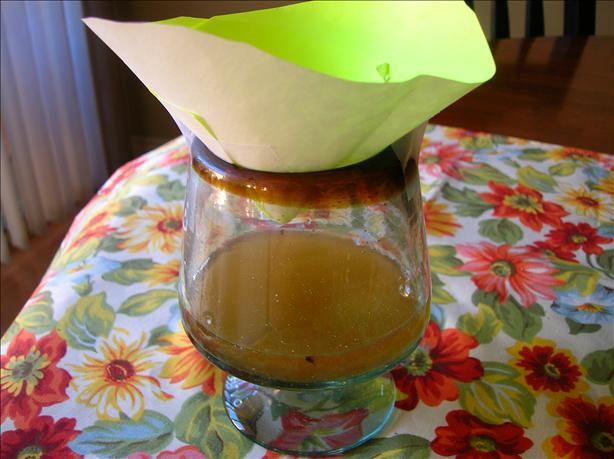 Fruit Fly/Gnat Trap. Photo by Pam-I-Am