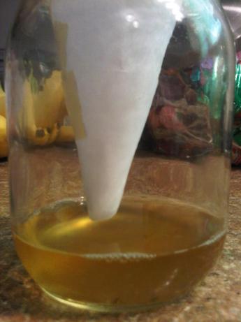Fruit Fly/Gnat Trap. Photo by stoneyj74