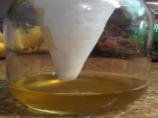 Fruit Fly/Gnat Trap