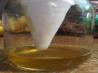 Fruit Fly/Gnat Trap