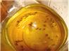 Fruit Fly/Gnat Trap