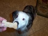 Gourmet Dog Biscuits. Photo by luvmybge