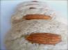 Iraqi Cardamom Cookies (Hadgi Badah)