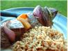 Honey-Steak Kebabs