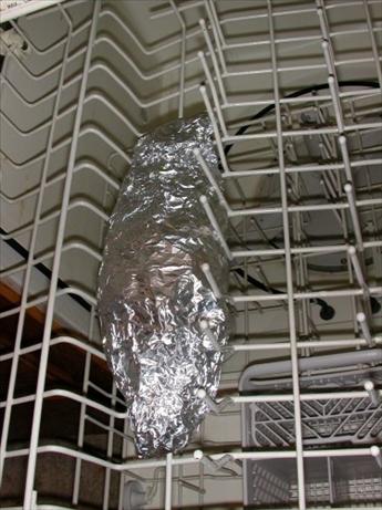 Dishwasher Salmon. Photo by Julesong