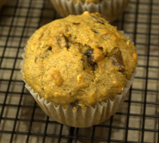 Healthy Oatmeal Banana Chocolate Muffins. Photo by Heather Campbell
