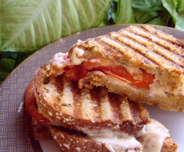 Caprese Panini (Mozzarella, Tomatoes and Basil). Photo by Bev