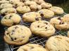 Classic Chocolate Chip Cookies. Recipe by Nurse_Corie
