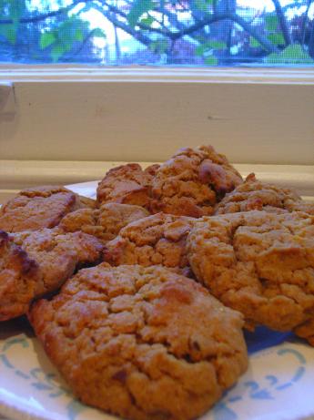South African Ginger Cookies. Photo by katew