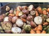 Roasted Potatoes, Carrots, Parsnips and Brussels Sprouts