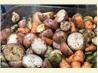 Roasted Potatoes, Carrots, Parsnips and Brussels Sprouts. Recipe by Irmgard