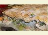 Family Circle's Lean Chicken/Turkey Pot Pie