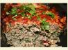 Turkey Meatloaf
