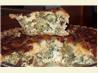 Roasted Broccoli, Bacon Quiche