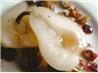 Pears With Maple Syrup, Pecans and Cranberries - Microwave