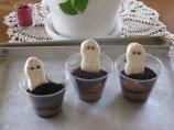 Halloween Ghost Cookies
