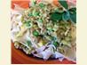 Ground Turkey With Creamy Squash Sauce  over Noodles. Recipe by Rita~