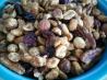 Sugar and Spice Nuts