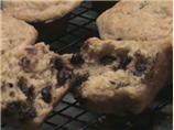 New England Toll House Muffins