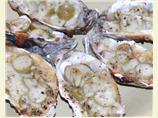 BBQ Oysters and Olives