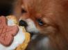 Dog Doggie Birthday Cake