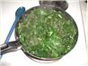 Lemon-Garlic Greens Saute