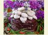 Chocolate Meringue Cake. Recipe by Sherrybeth