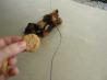 Ankle Biter Peanut Butter Drops (For Your Fur Baby). Photo by Chef #1098997