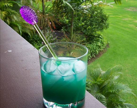 Cactus Cocktail. Photo by lazyme