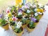 Flower Pot Cake. Recipe by Nickeletta