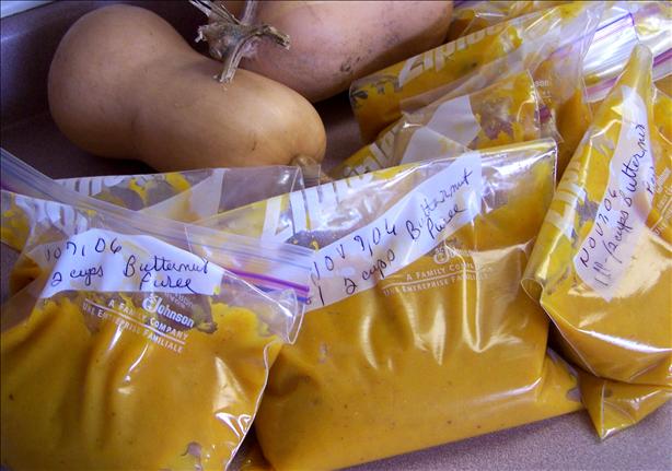 Pureed Squash Butternut, Acorn Any Hard Winter Squash!. Photo by Rita~
