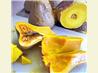 Pureed Squash Butternut, Acorn Any Hard Winter Squash!