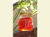 Pink Grapefruit Marmalade