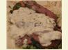 Tzatziki Sauce. Recipe by Lorrie in Montreal