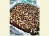 Brownie Caramel Walnut Bars. Recipe by Shasha