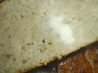 Zurie's Overnight No-Knead Bread