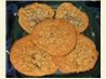Kat's Mom's Family Oatmeal Cookies